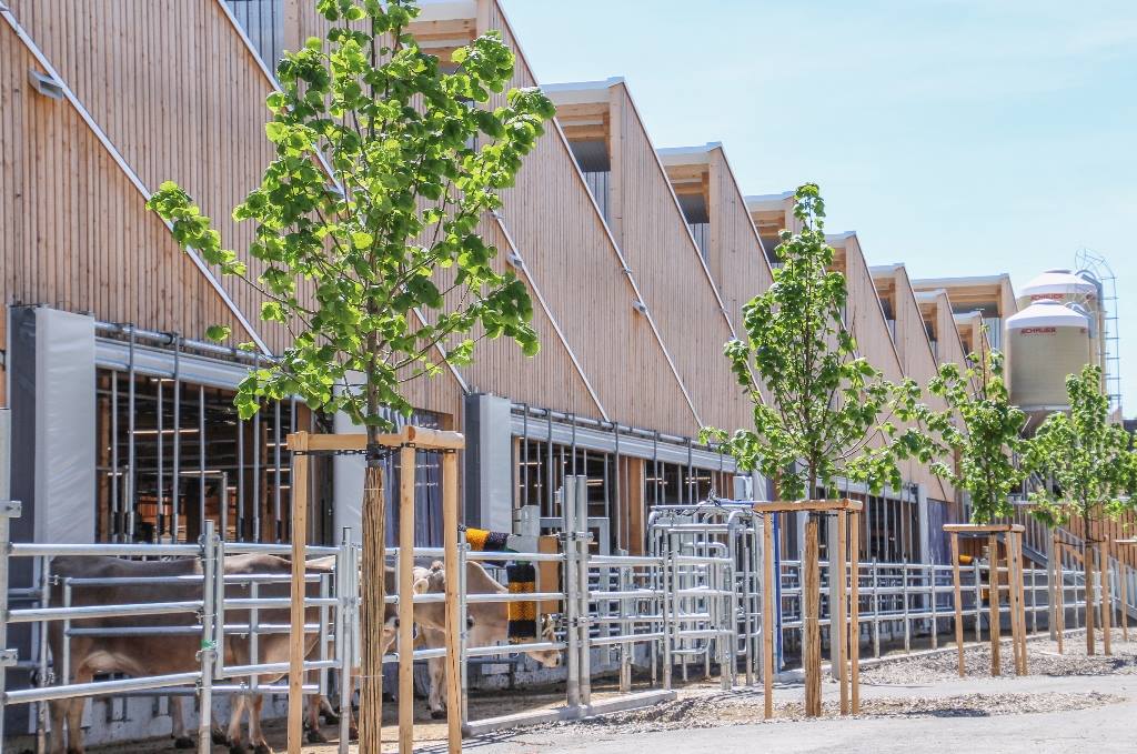 Vergrösserte Ansicht: Agrovet