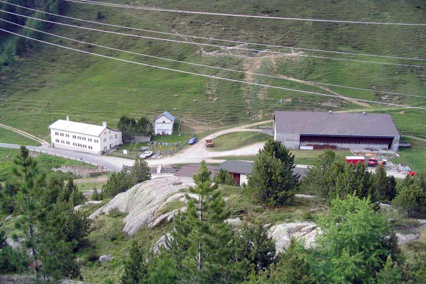 Alp Weissenstein (Bergün GR)